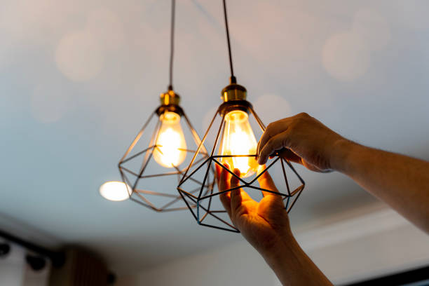 Best Electric Panel Repair  in Scotland Neck, NC